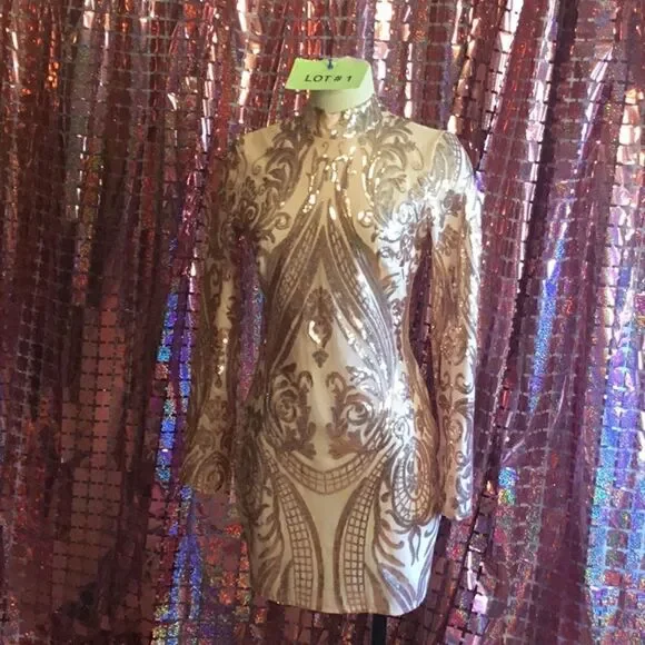 NWOT long sleeved dress with nude underlay & rose gold sequins throughout SM - Picture 2 of 14